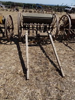 Semeuse ancienne 2 (ph. F. Mrugala, St Jean de Touslas)(2)